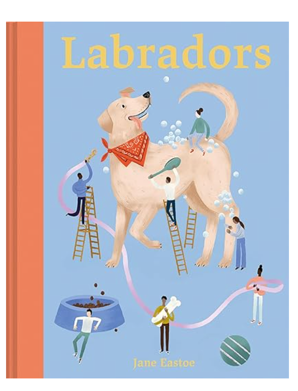 Labradors