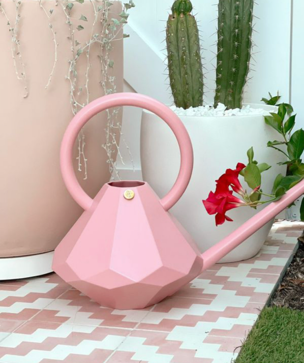 Rosé Watering Can